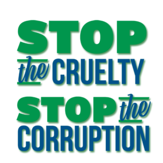 DignityForAll_StopCrueltyStopCorruption_shadow https://www.haywoodstatesenate.com/wp-content/uploads/2026/08/DignityForAll_StopCrueltyStopCorruption_shadow-1-320x320.png